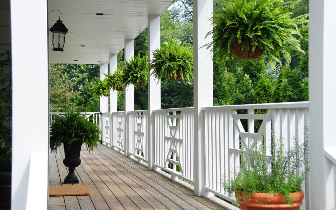 White Decking On The Exterior Of A House With Foliage