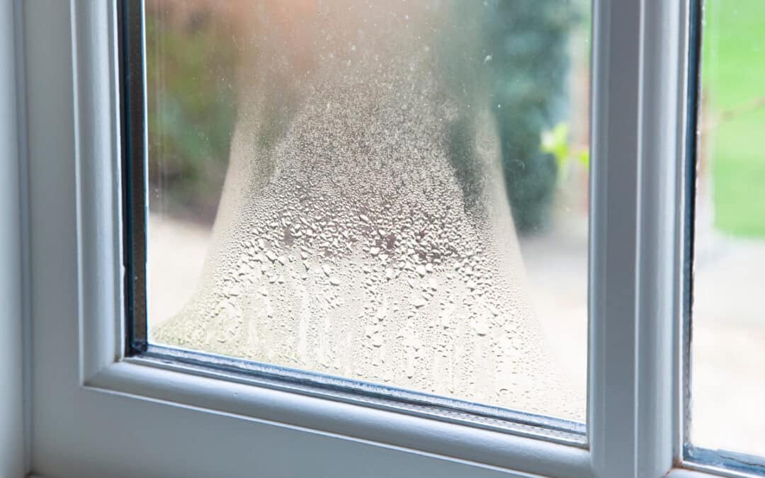 How to Prevent Condensation on Windows: Tips for Homeowners and Contractors